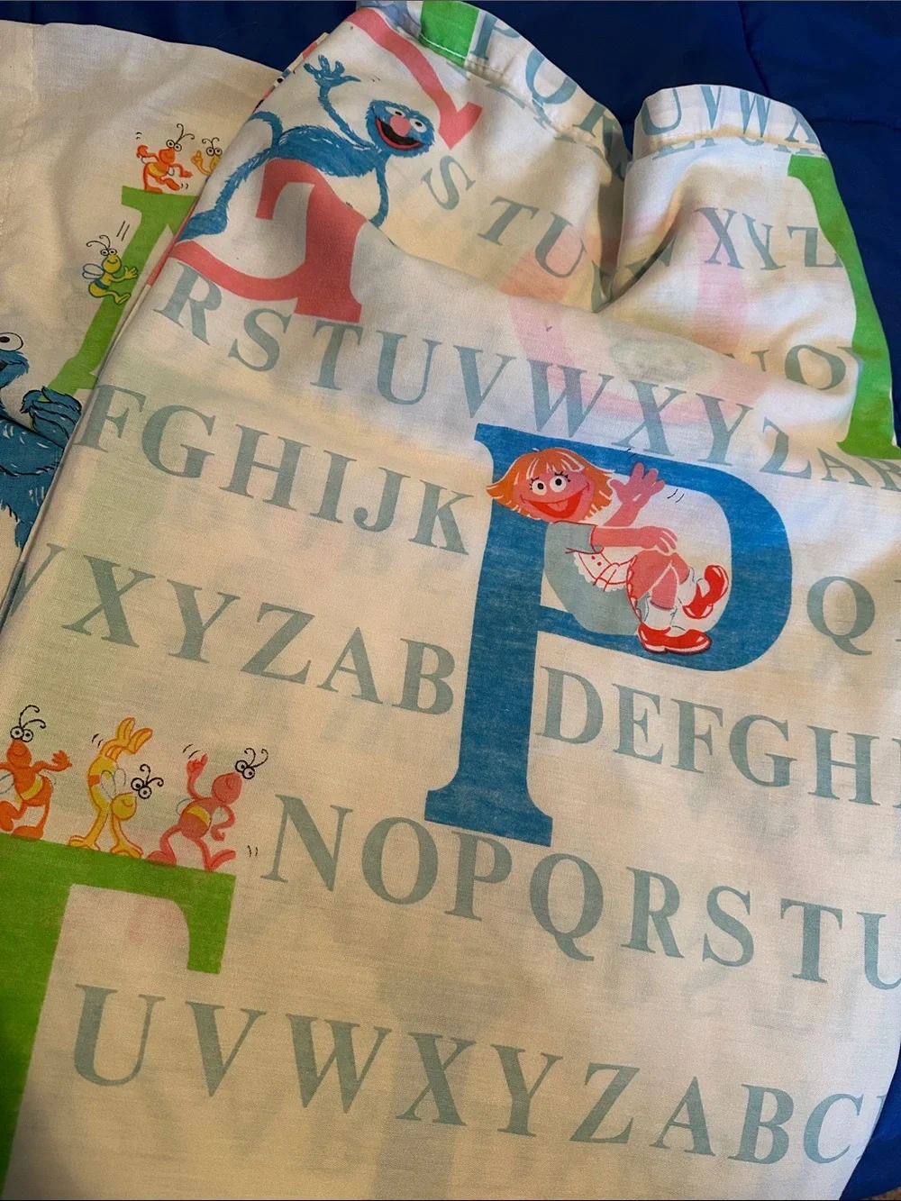 Vintage Sesame Street pillow case and flat twin size sheet